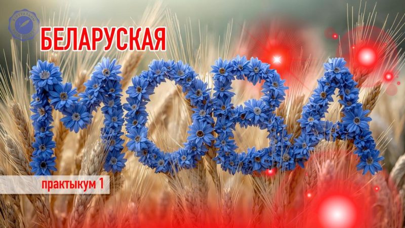 Жывая мова: глядзіце, як праходзяць практычныя заняткі ў Віртуальным Універсітэце